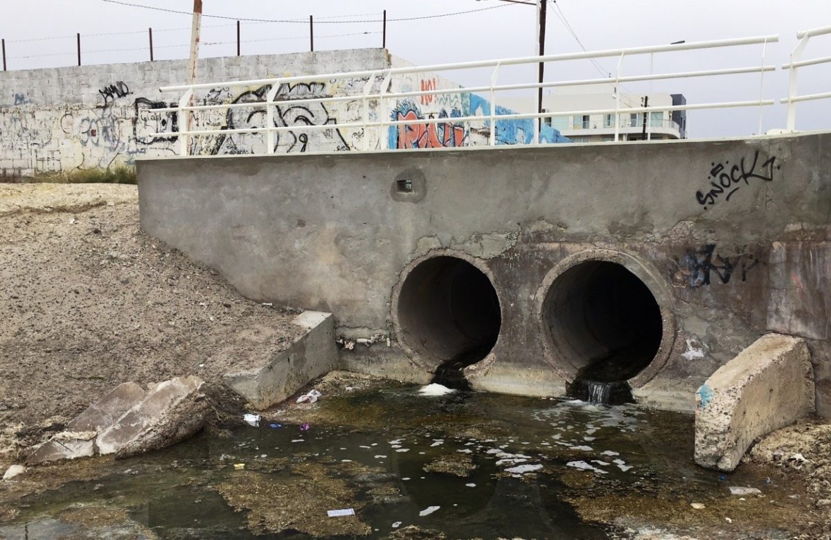 Claroscuros ambientales en Madryn