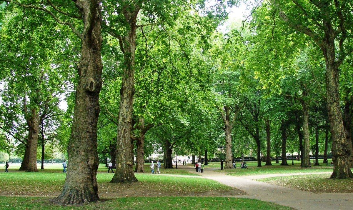 ARQ. CARLOS SANABRA: Los Parques Urbanos