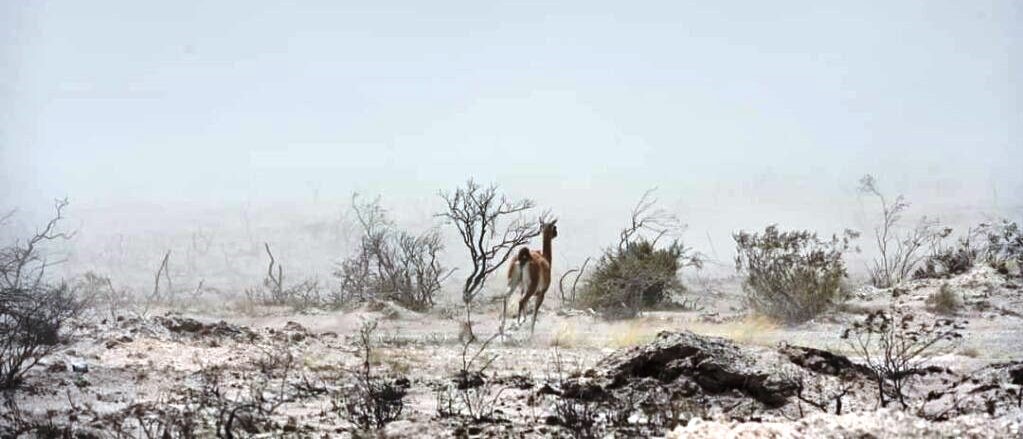 ARQ. SANABRA: El Medioambiente politicamente correcto