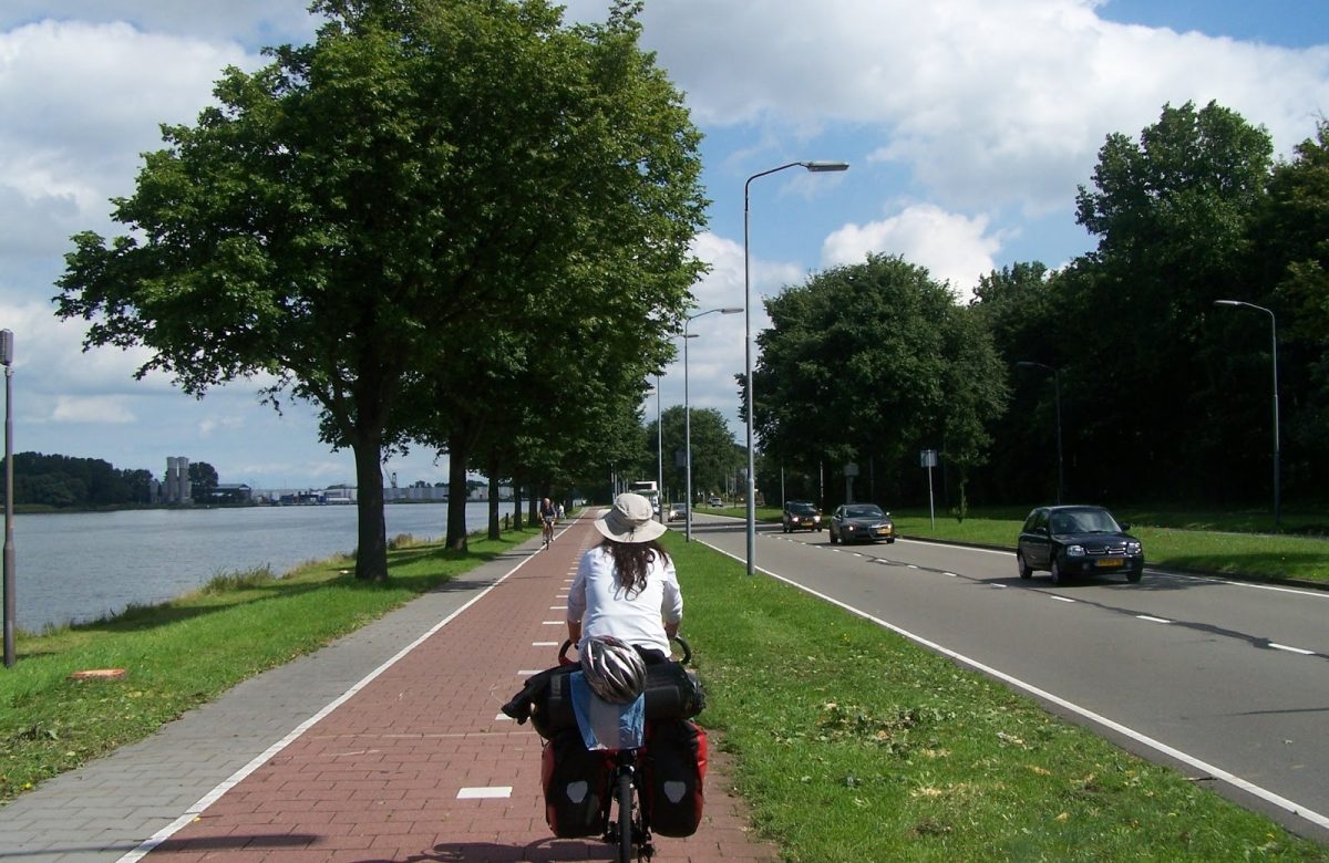 El sistema de tránsito y transporte: una oportunidad para mejorar la ciudad.