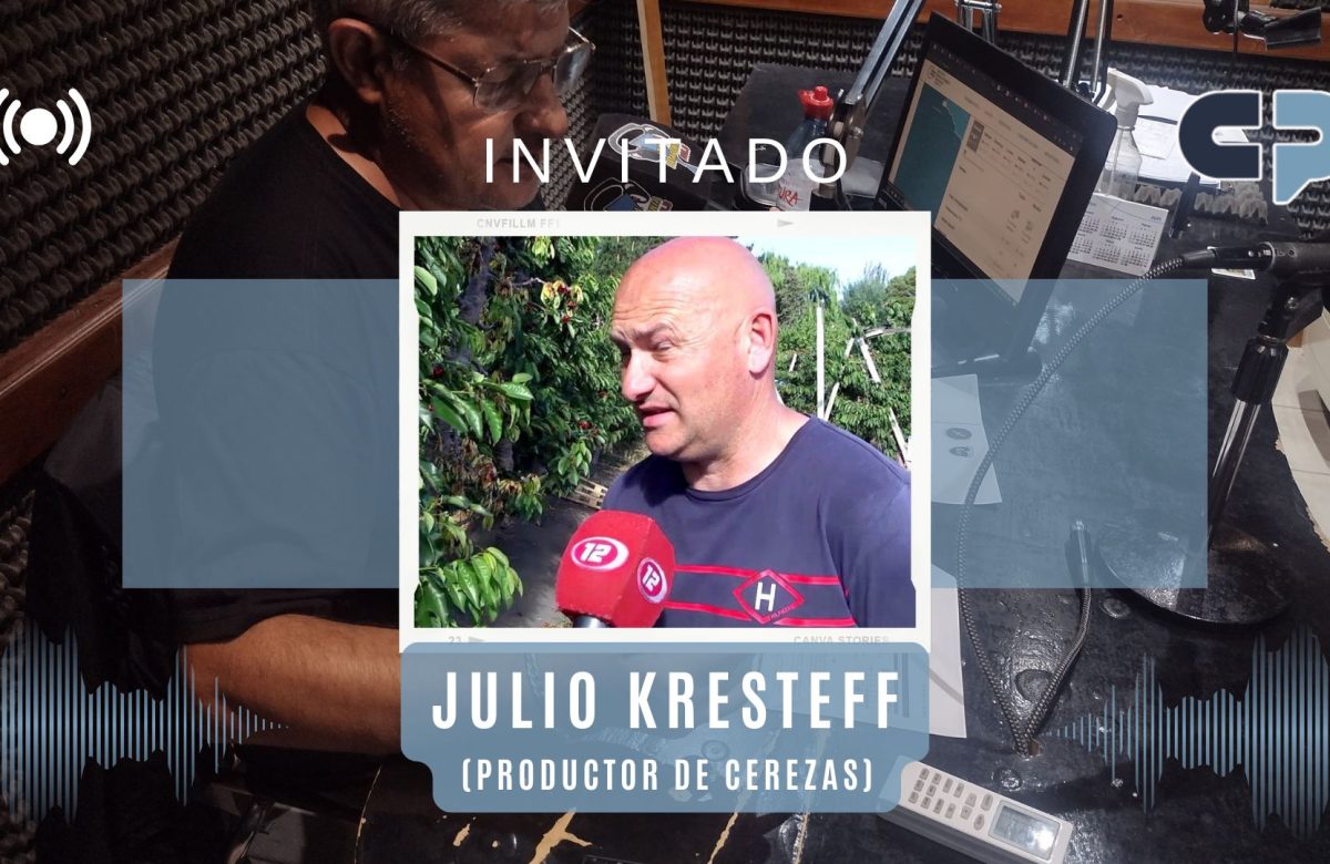 CEREZAS CHUBUTENSES AL MUNDO: ¿Cómo se producen?