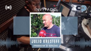 CEREZAS CHUBUTENSES AL MUNDO: ¿Cómo se producen?