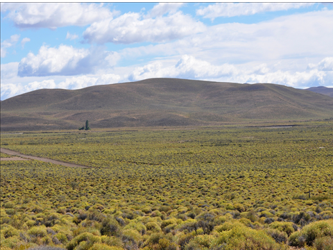 ARQ. SANABRA: La Naturaleza se escribe y se lee siendo paisaje