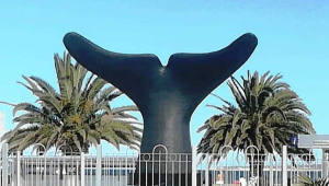 ARQ. SANABRA: Lo auténtico y lo falso en nuestras ciudades