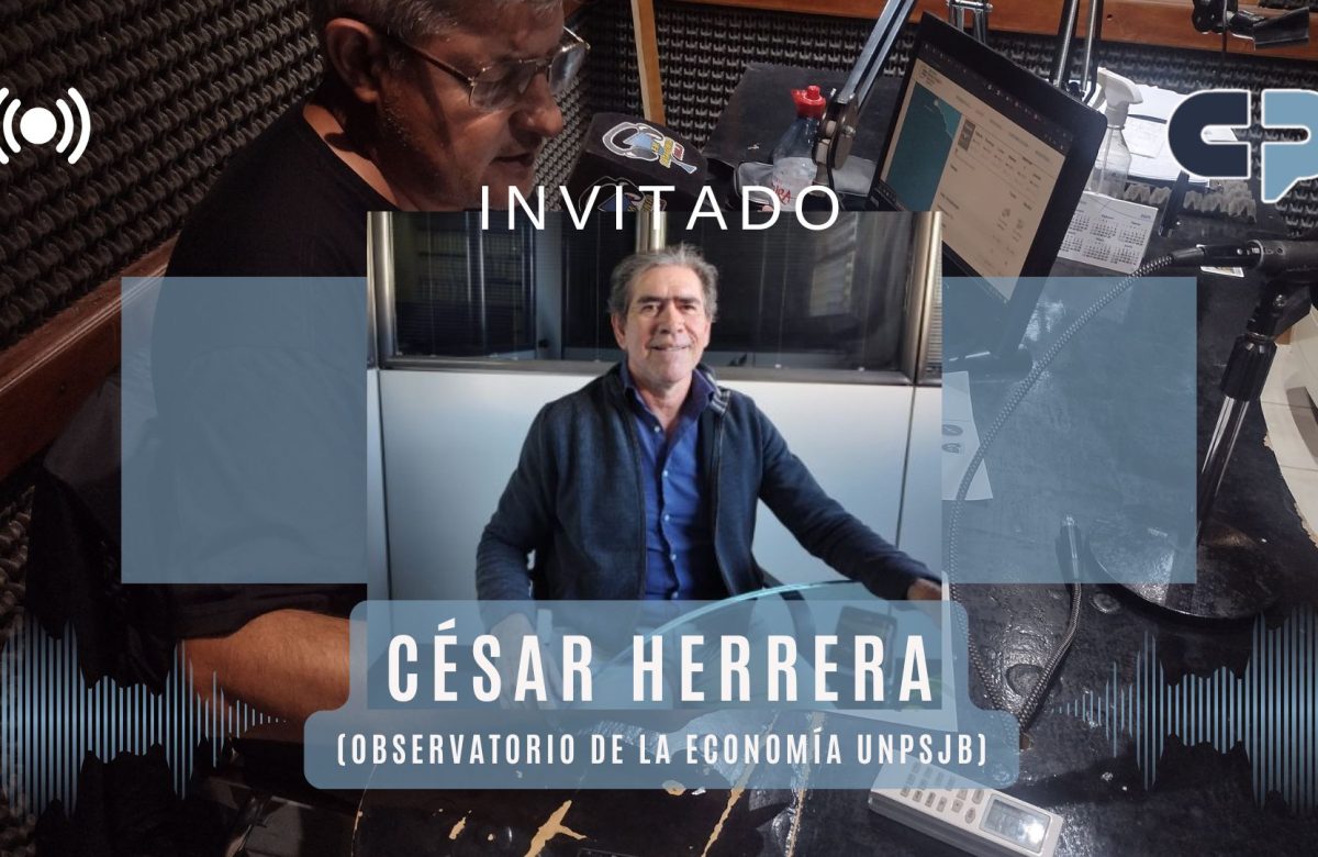 Ballenas Bot, el chat para saber los precios de Puerto Madryn