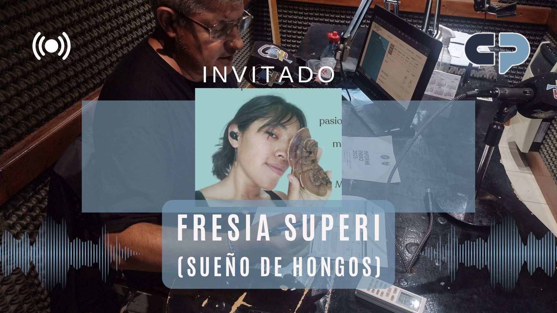Emprendedores en Patagonia EyN: Hongos medicinales desde Puerto Madryn al país